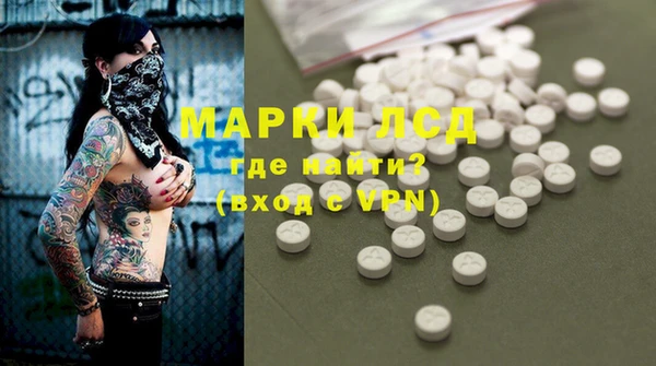 гидра Арсеньев