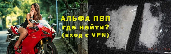 гидра Арсеньев