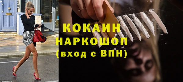 гидра Арсеньев